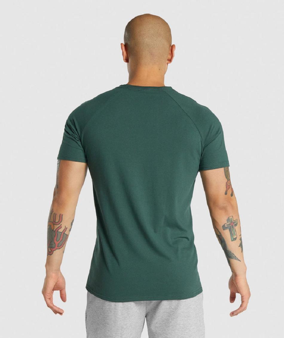 T Shirts Męskie Gymshark Critical 2.0 Ciemny Zielone | PL 3924AHK